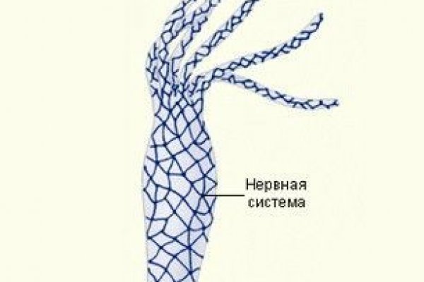 Кракен шоп даркнет